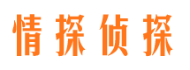 长丰市侦探公司